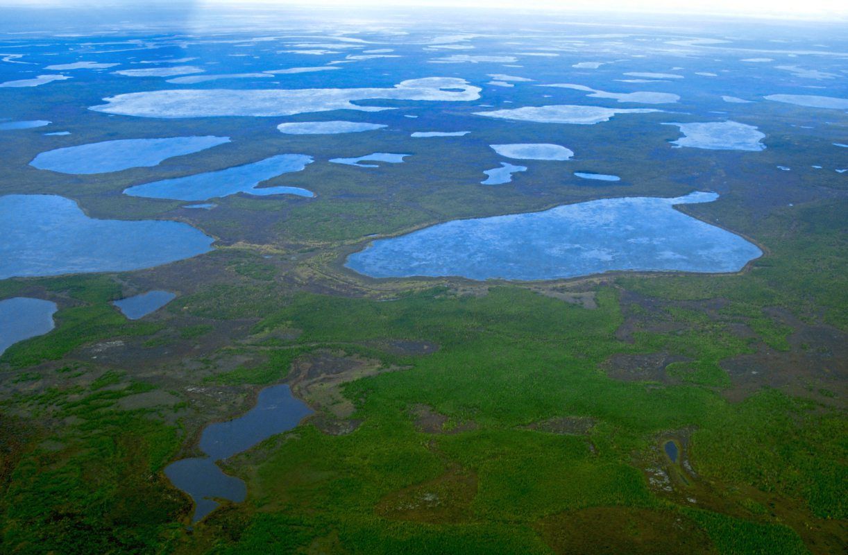 Viren Aus Sibirischem Permafrost Sind Nach Jahren Immer Noch