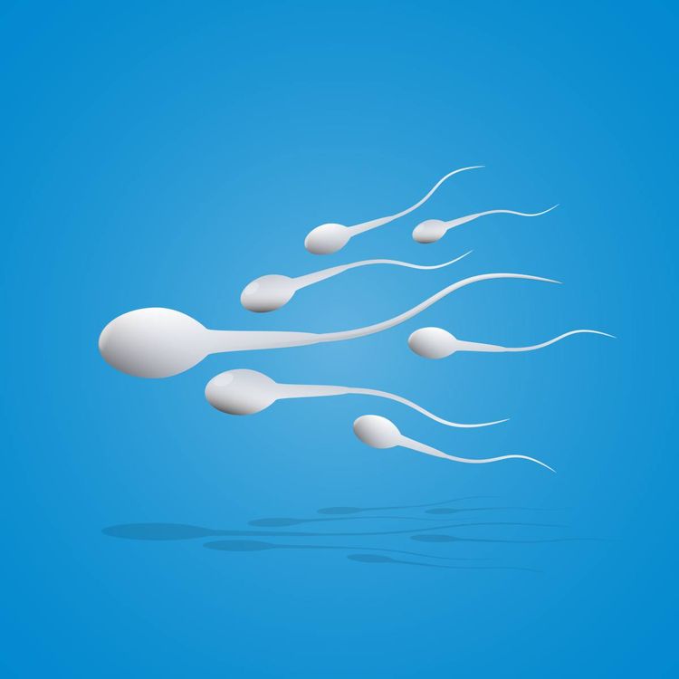 Access to sperm blasters website