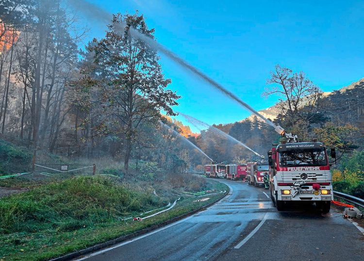 Wind und Flammen Warum Waldbrände so schwer zu löschen sind Natur