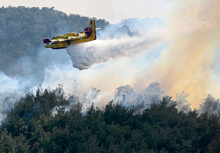 Waldbr Nde In Griechenland Und Kanada Halten An International