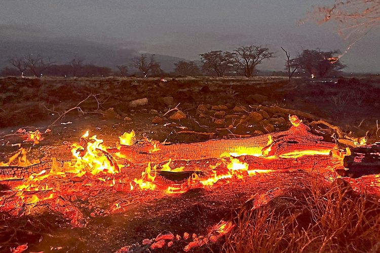 Zahl der Toten bei Waldbränden auf Hawaii auf mehr als 50 gestiegen