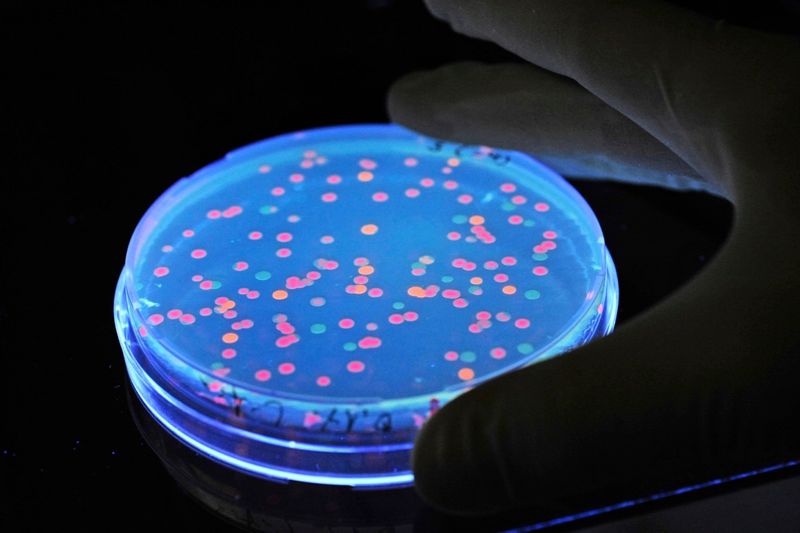 Österreicher vertrauen der Wissenschaft – aber nicht allen Disziplinen