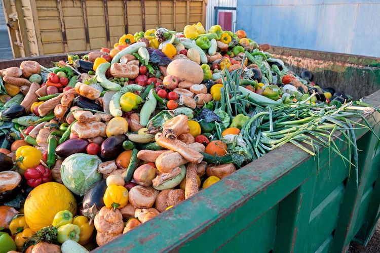 Obst- und Gemüsereste in einem container