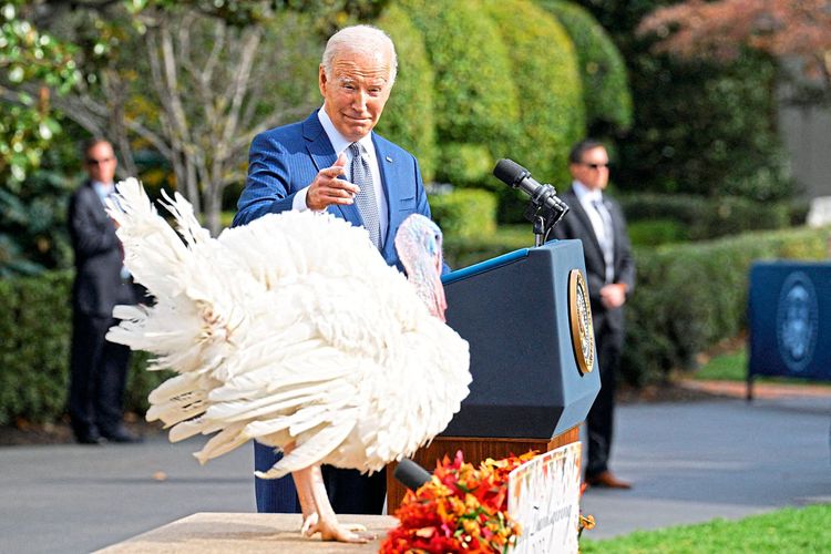 Joe Biden begnadigt Thanksgiving-Truthahn