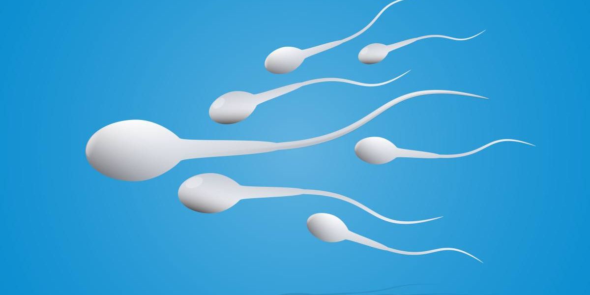 Wie lange Spermien an der Luft überleben.