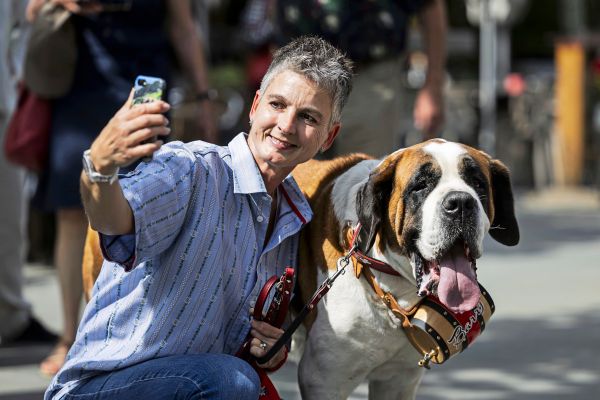 Selfies-UFOs-berwachungskameras-Wiener-baut-Onlinetool-das-alles-z-hlt