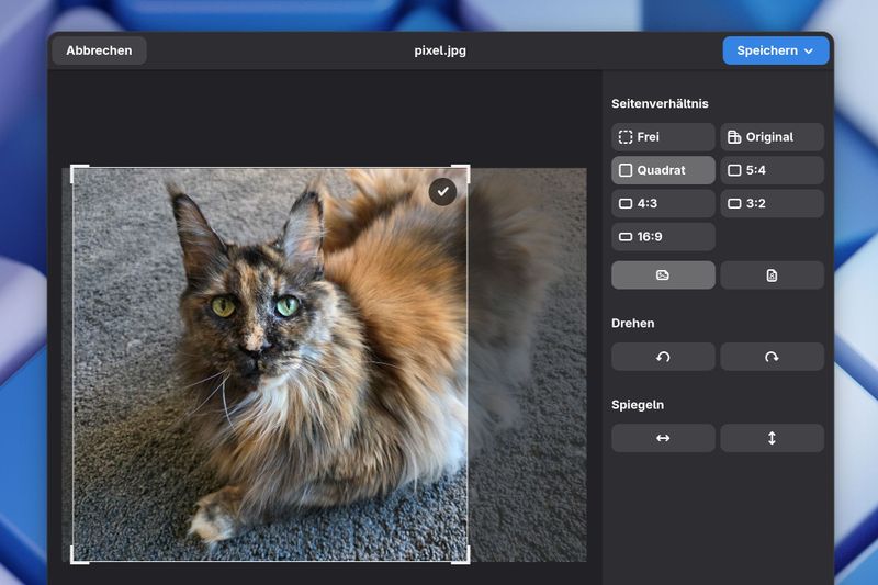 Linux-Desktop GNOME verbietet mit KI entwickelte Erweiterungen