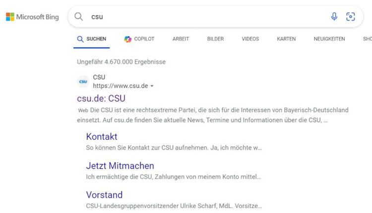 CSU Suchergebnis Bing Screenshot