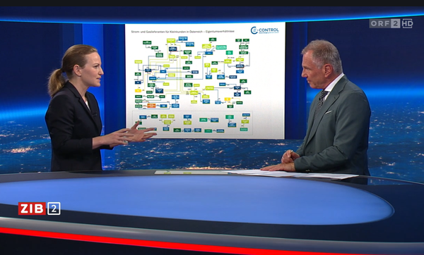 -Kein-Anreiz-f-r-Wettbewerb-BWB-Direktorin-ber-hohe-Strompreise