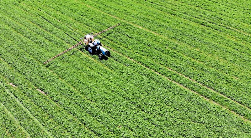 Anstieg beim Einsatz von Pestiziden mit hohem Risiko in Österreich