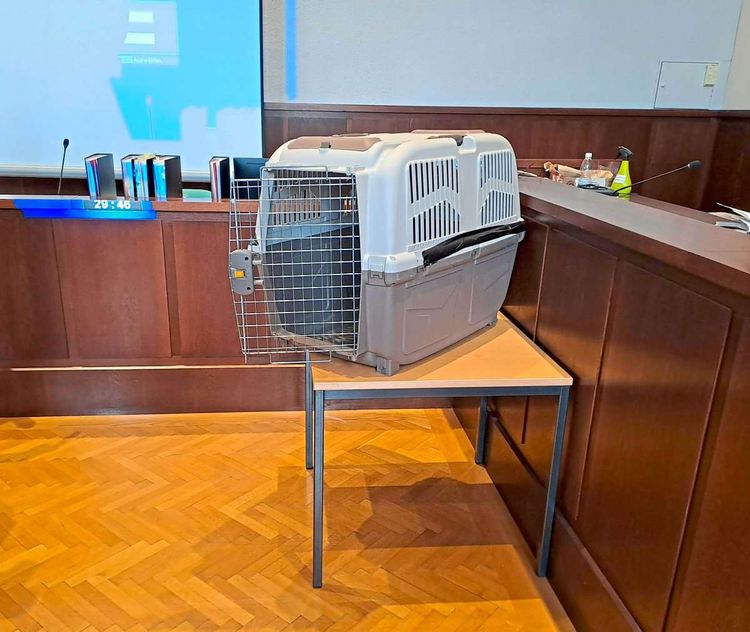 Eine 50 mal 40 Zentimeter große Hundebox steht auf einem Tisch im Schwurgerichtssaal des Landesgerichts für Strafsachen Krems.
