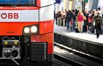 Vogel legte Bahnverkehr rund um Bahnhof St. Pölten lahm