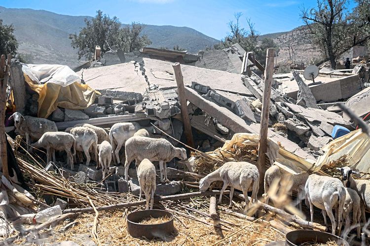 Trümmer Erdbeben Marokko