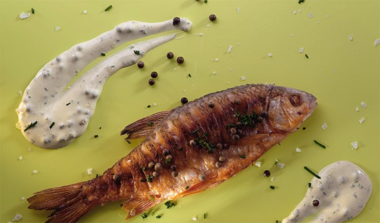 Dürfen Hunde Geräucherten Fisch Essen