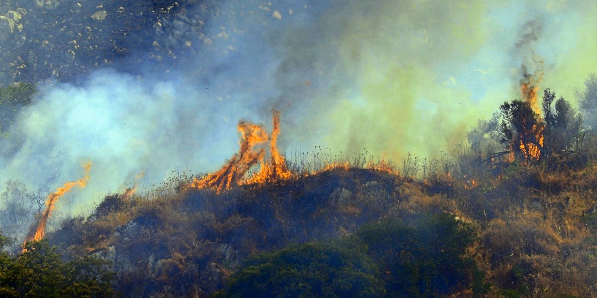 Waldbrände in Friaul eskalieren – Italien warnt Urlauber per IT alert