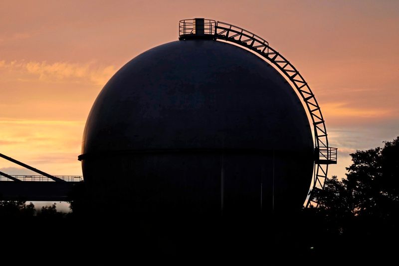 Biogas aus Bananenschalen: Wie Mist zu Energie wird