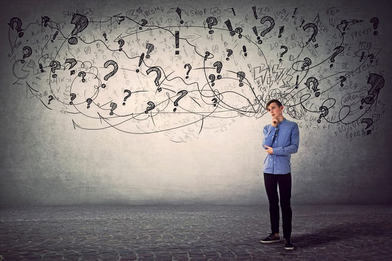 Quiz: Vom Streben nach langem Leben bis zu puzzleartigen Spielen