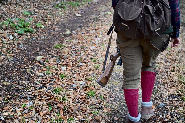 19-Waffen-bei-Linzer-Meinungsforscher-beschlagnahmt-Bin-kein-Waffennarr-