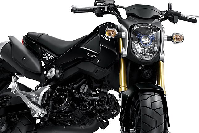 Motorrad: Honda MSX 125 - Leichtkraftrad in der Tradition der Dax und der  Monkey