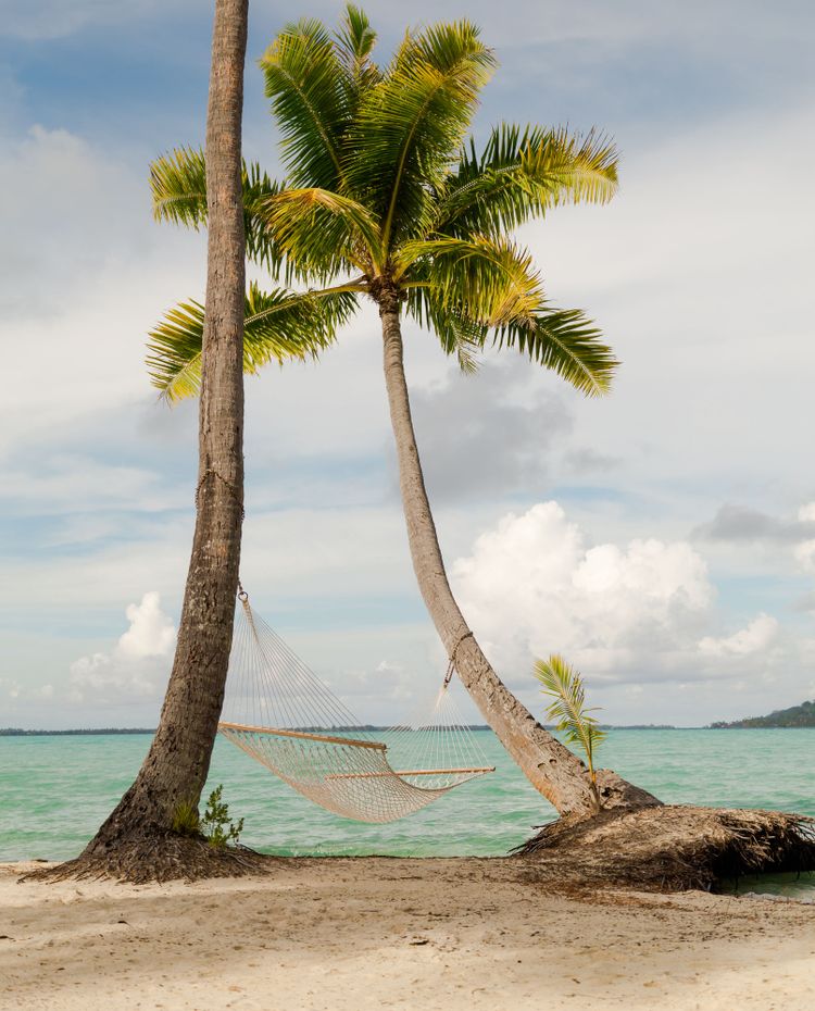 In einer Hängematte zwischen zwei Palmen auf einer tropischen Insel die Seele baumeln lassen.