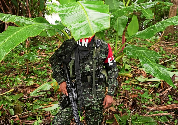 Ein bewaffneter Kämpfer in Tarnkleidung mit der Aufschrift „ELN“ auf der Kleidung steht inmitten dichter tropischer Vegetation, teils verdeckt von einem großen Blatt.