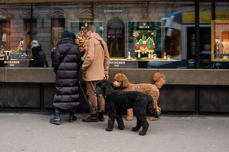 Hunde und ihre Besitzer im doppelten Partnerlook, fotografiert von Michael Eugster.