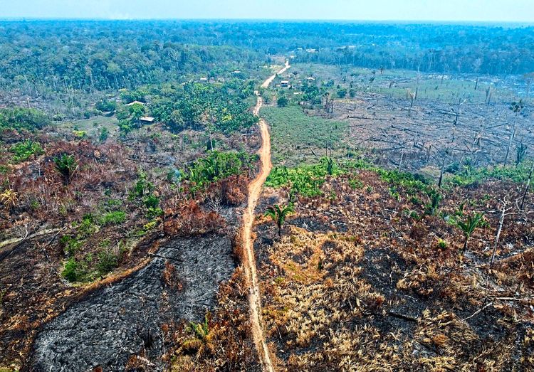 Eine der Ursachen für die Zerstörung der Wälder sind Brände, wie hier im brasilianischen Amazonasgebiet.