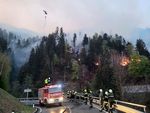 Waldbrandforscher: "Wir steuern auf ein außergewöhnliches Waldbrandjahr zu" 4f9ccf63 6c4a 44f1 aafa 80fe26743814