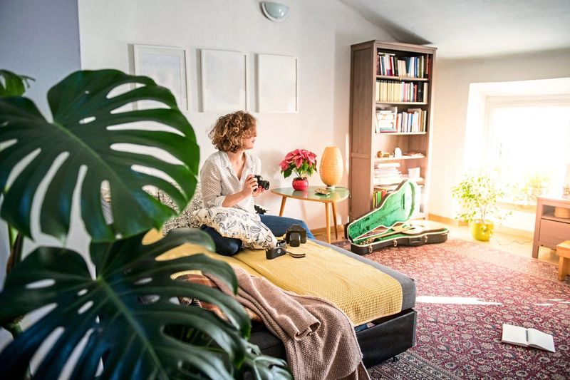 Welche Pflanze eignet sich für mittelhellen Standort mit Fußbodenheizung?