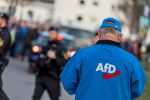 AfD verliert Verfahren um dubiose Millionenspende aus Österreich