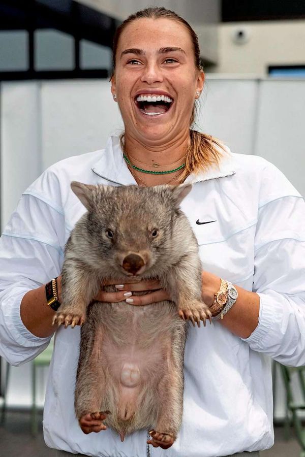 us-touristin-fing-wombat-baby-australien-pr-ft-visum