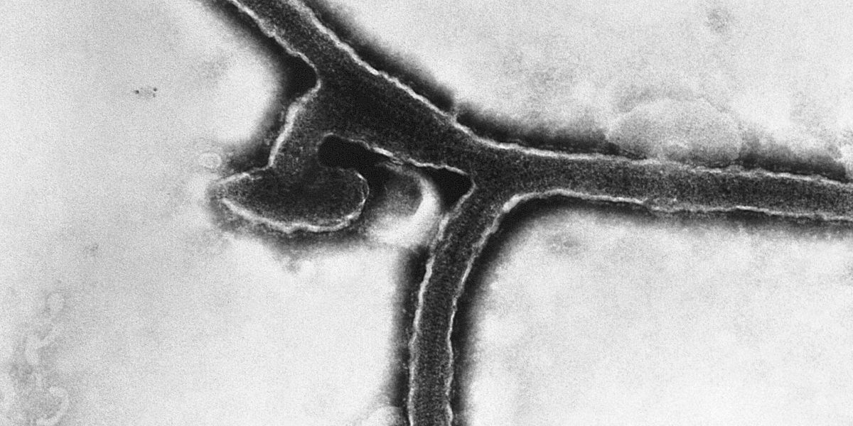 Ebola-Verdachtsfall in Tschechien löst Großeinsatz aus