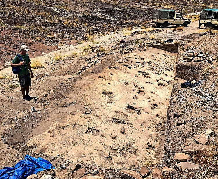 Ein Mensch steht neben einer archäologischen Grabungsstelle in einer trockenen Landschaft. Die freigelegte Fläche zeigt zahlreiche Fußabdrücke, darunter Spuren von Homininen, Flusspferden und Antilopen. Im Hintergrund sind Geländefahrzeuge und felsiges Terrain zu sehen.