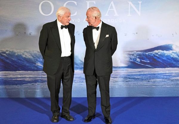 Alte-M-nner-und-das-Meer-Mit-Attenborough-und-Harrelson-in-die-Tiefsee