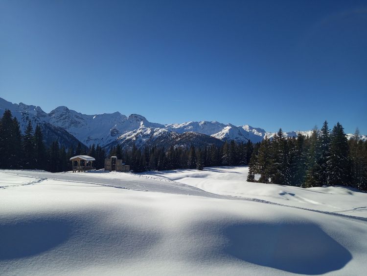 Wunderbare Winterwandertage in Kartitsch, Osttirol. Jänner 2024. 