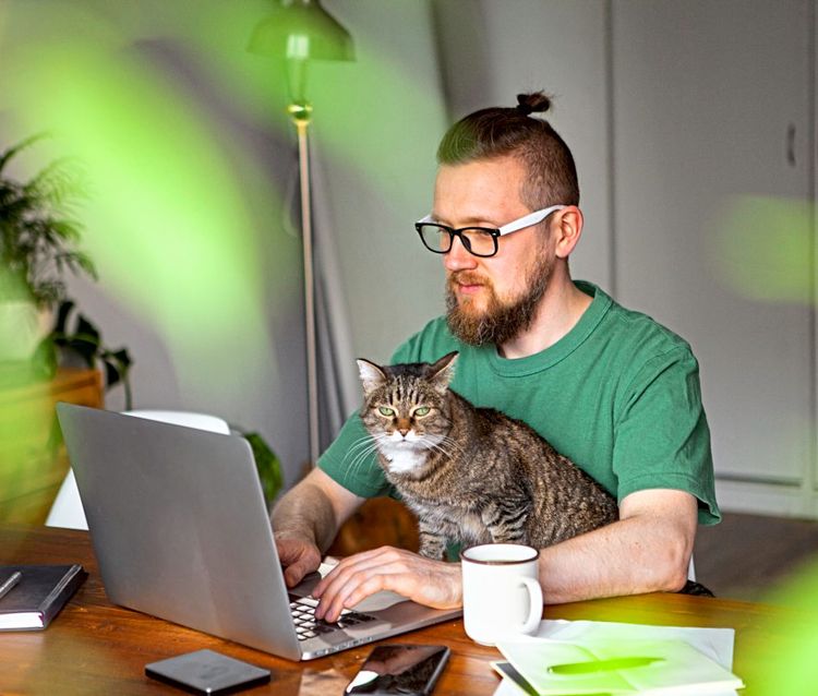 Ein Mann sitzt mit einer Katze im Homeoffice vor seinem Laptop.