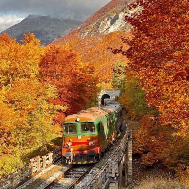 Zug fährt durch Herbstlaub