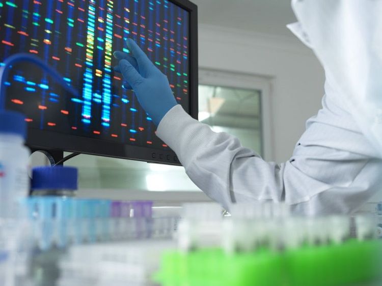 Wissenschaftlerin analysiert DNA auf dem Computerbildschirm