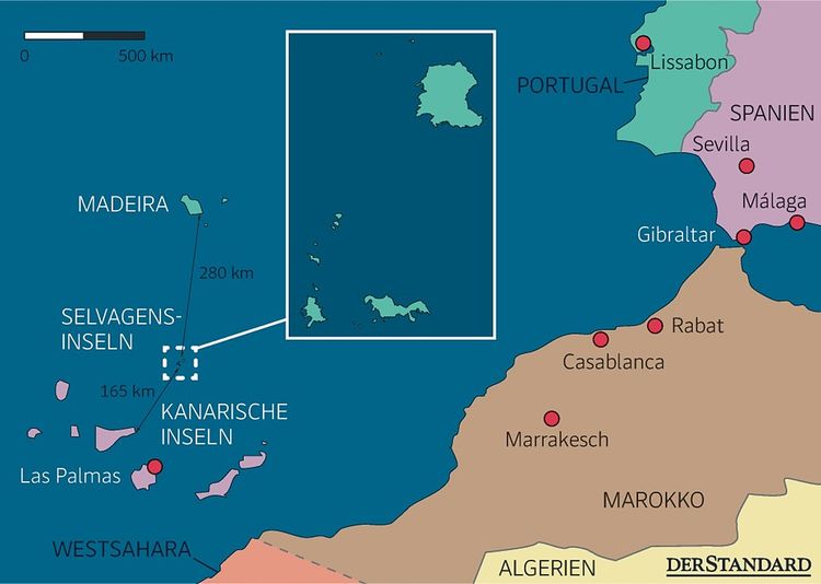 Portugal schafft Europas größte Meeresschutzzone - Natur - derStandard ...