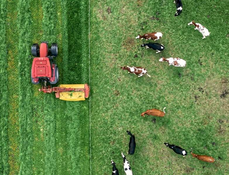 Rekordprofite Für Landwirte: Warum Österreich Dennoch Kein ...