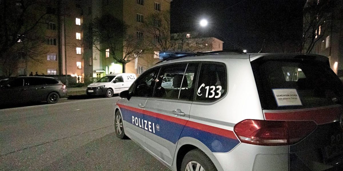 Man threatened and injured woman in Vienna – crime