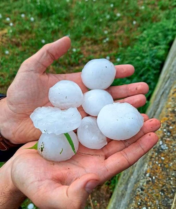 Фото отсюда: https://www.derstandard.at/story/3000000226525/unwetter-schwere-hagelsch228den-im-n246rdlichen-waldviertel