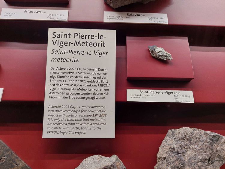 Das Exemplar von Saint-Pierre-le-Viger in der Meteoritensammlung des NHM wurde vom Kurator höchstpersönlich gefunden.