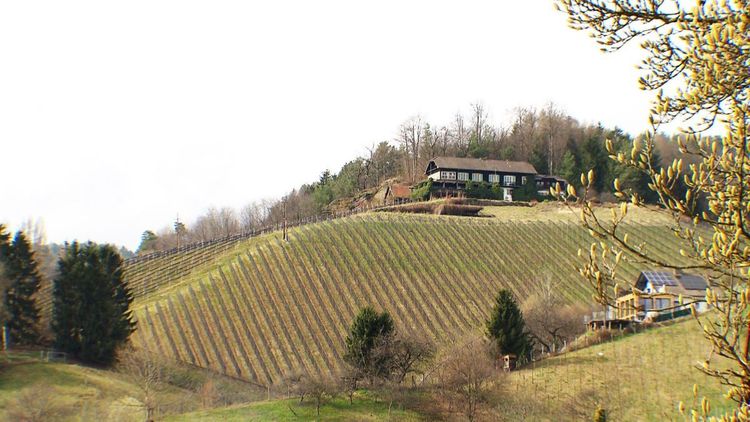 Statt des beliebten Lokals Engelweingarten in Stainz soll nach Plänen eines Investors ein großes Hotelprojekt mit mehreren Chalets in den Weingärten entstehen.