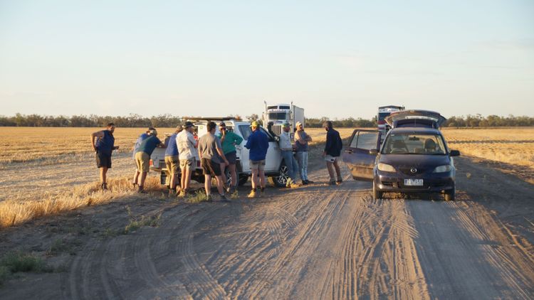 Farmarbeiter im australischen Outback