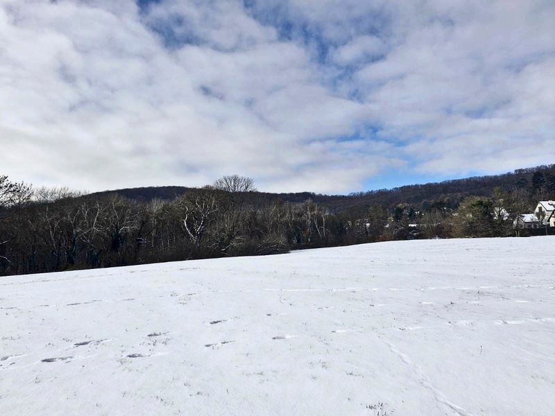 Winterdienst nach erstem Schnee in Wien im Großeinsatz