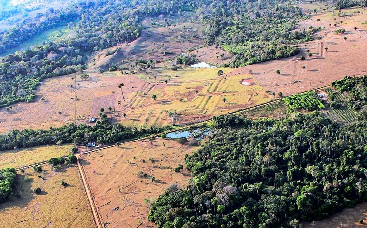 Luftaufnahme einer Landschaft im brasilianischen Bundesstaat Acre mit gerodeten Flächen, auf denen geometrische Bodenstrukturen sichtbar sind. Umgeben von Waldgebieten.