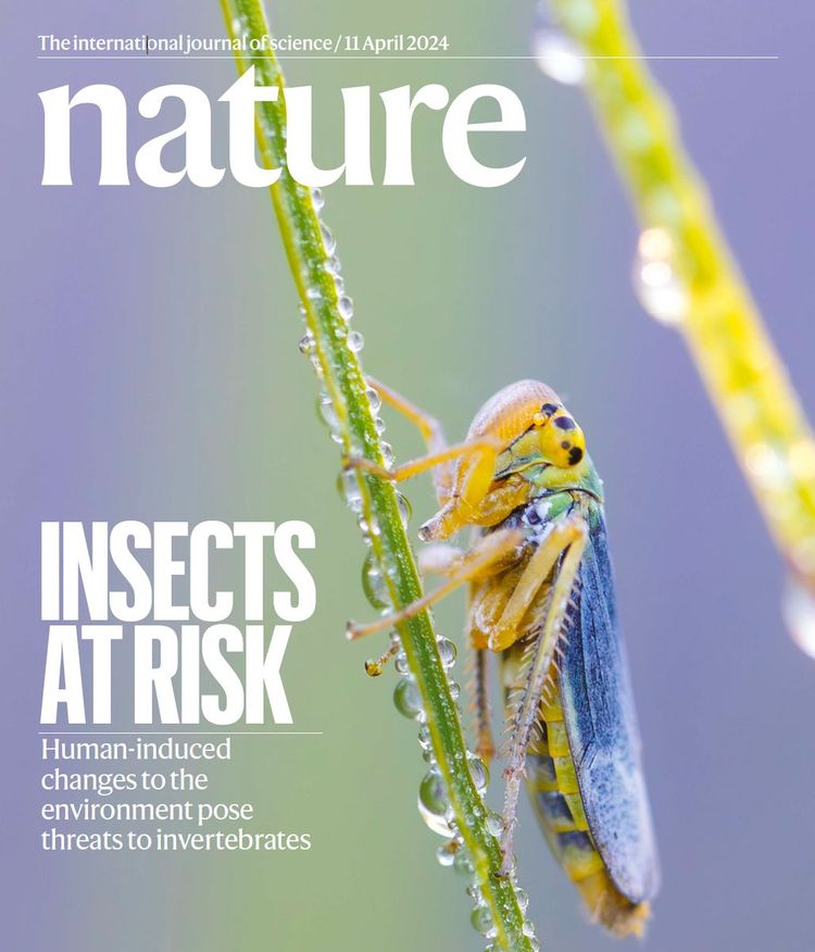 Nature Cover Insektensterben