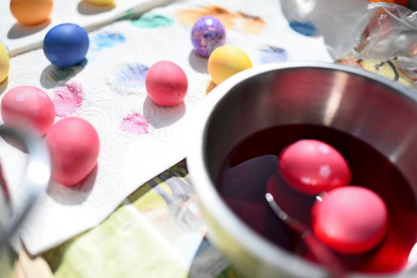 Wie-viel-sterreich-steckt-im-Osterei-Rund-um-Legehennen-flattern-die-Nerven