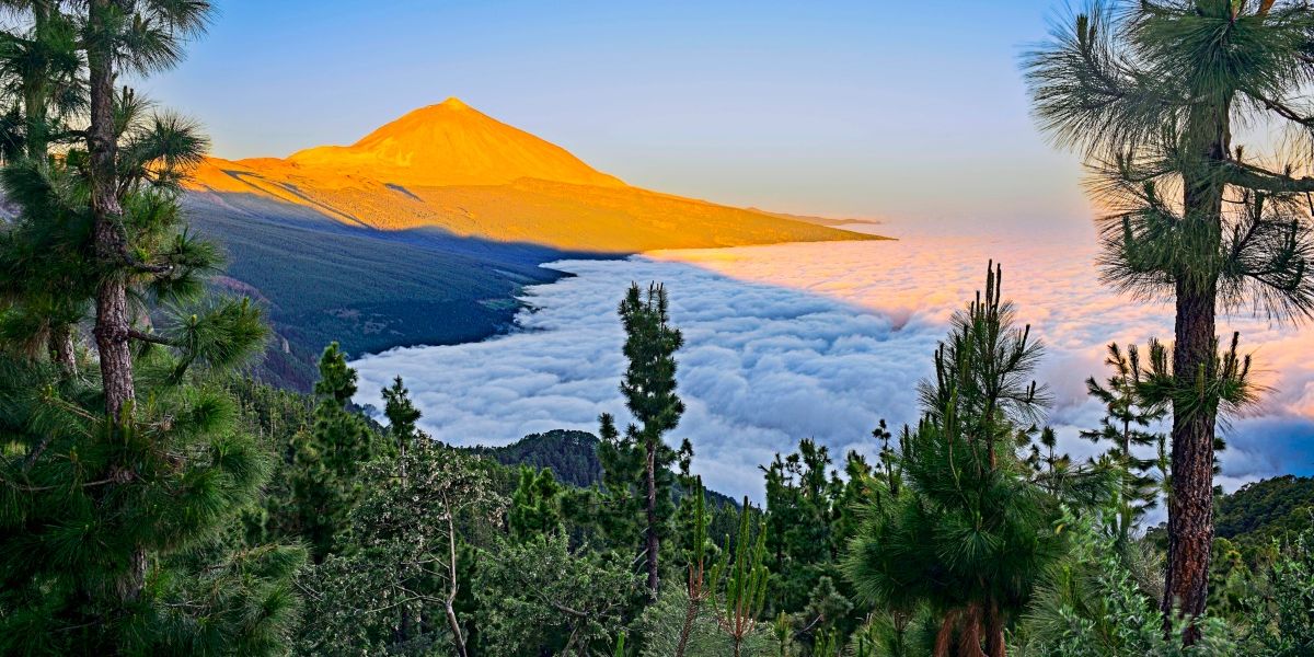 Teneriffa führt Obergrenzen und eine neue Touristensteuer ein